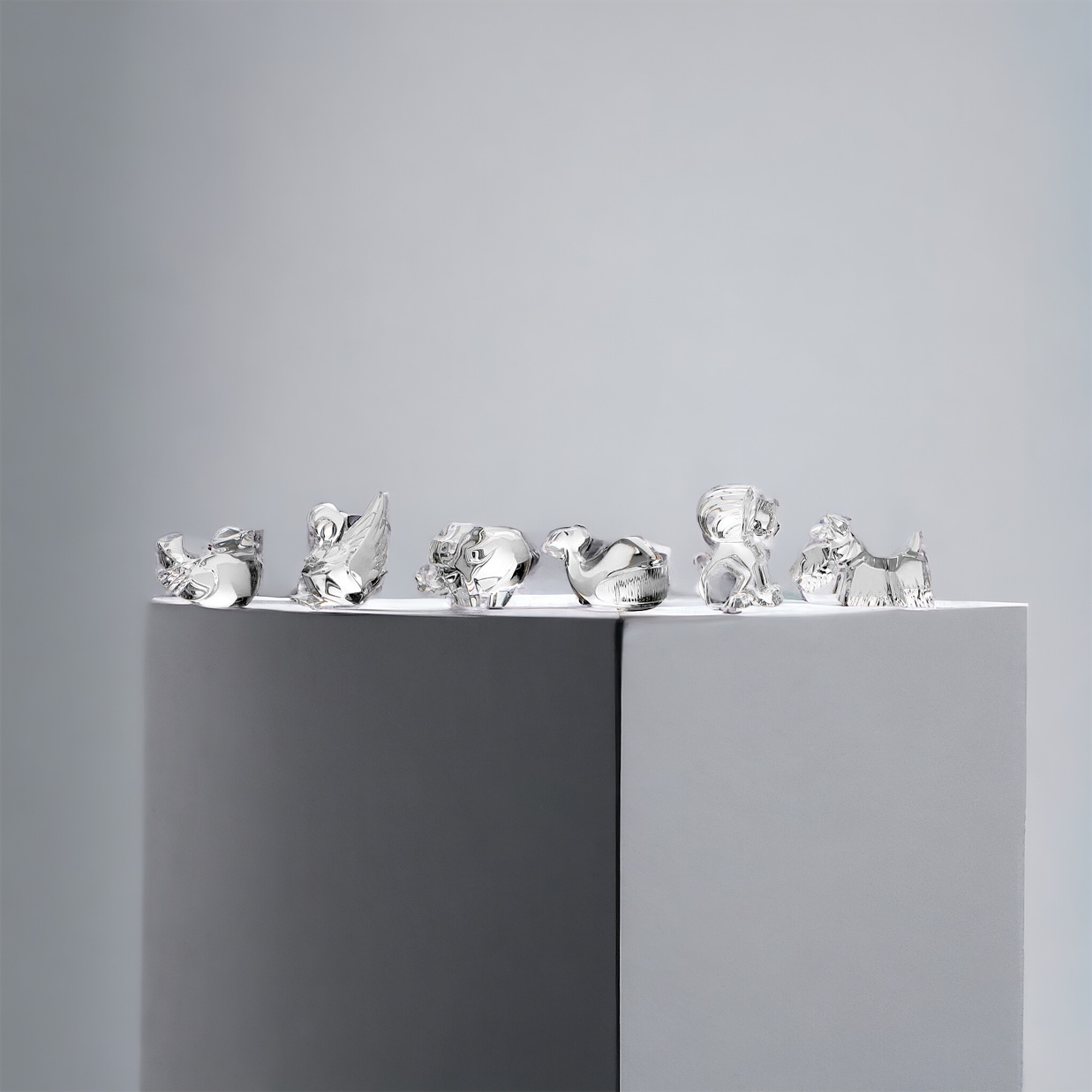 gli animali di sabatini1